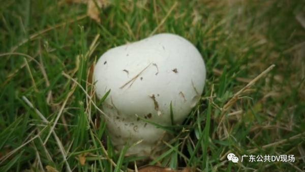 太粗太深了太紧太爽了国产,太粗太深太紧太爽，揭秘国产新高度